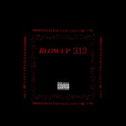 Blow up 313