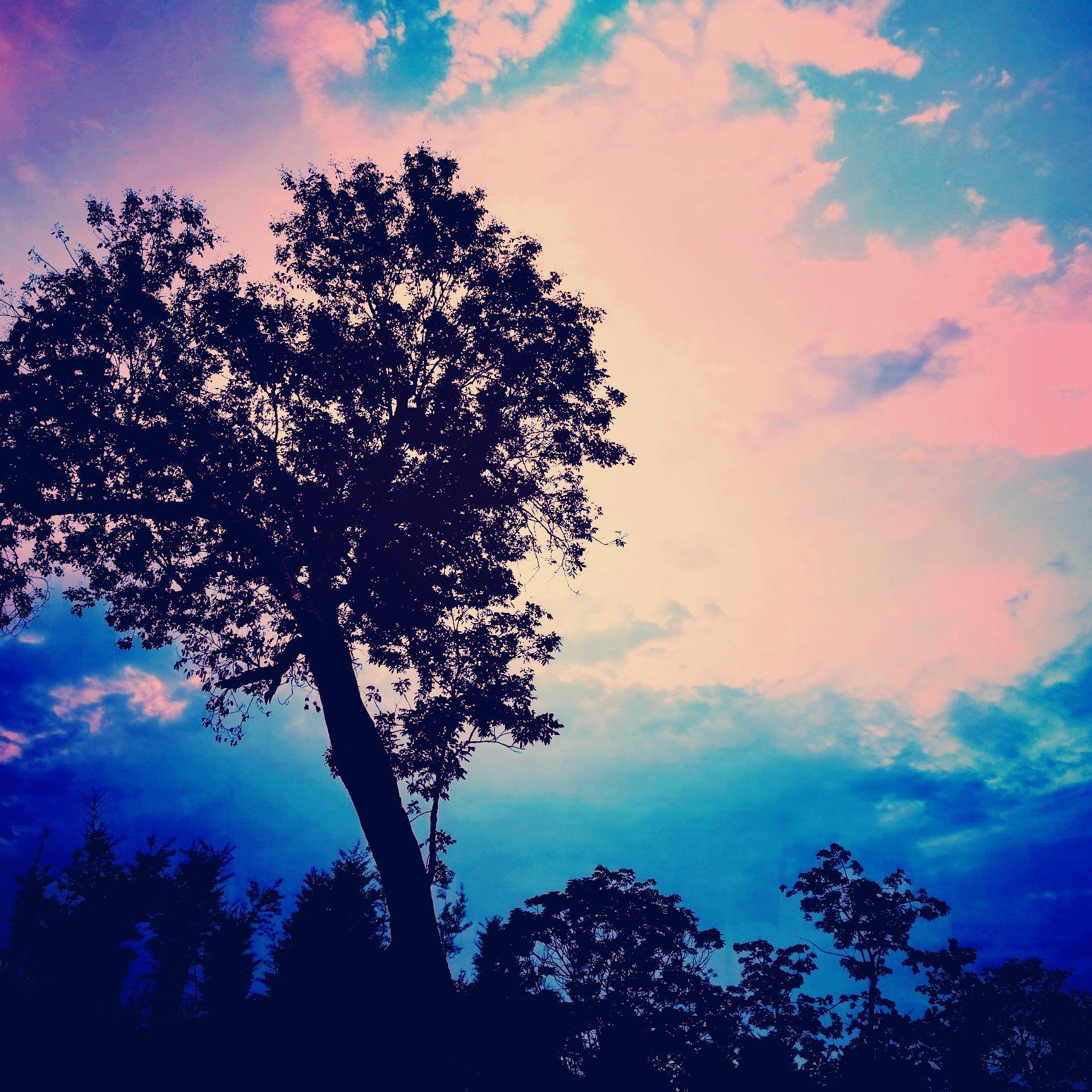 Seventeen (connection)