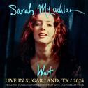 Wait (Live in Sugar Land, TX / 2024)专辑