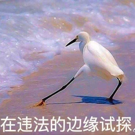 再多喜欢我一点好不好的歌单