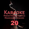 Karaoke Parfait Instrumentals Musicians & Singers, Vol. 20专辑