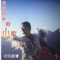 尔玛豪鹰 杨青卓玛-阿哥阿妹对山歌