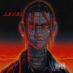 Level