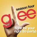 Fight For Your Right (To Party) [Glee Cast Version] - Single