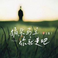 摘朵马兰你就走吧（中文版）