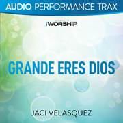 Grande eres Dios [Performance Trax]