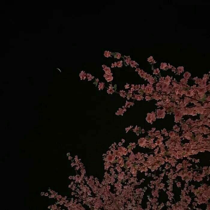 太平盛世皆有志 | 在线播放 | 网易云音乐