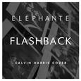 Flashback (Calvin Harris Cover)