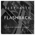 Flashback (Calvin Harris Cover)专辑
