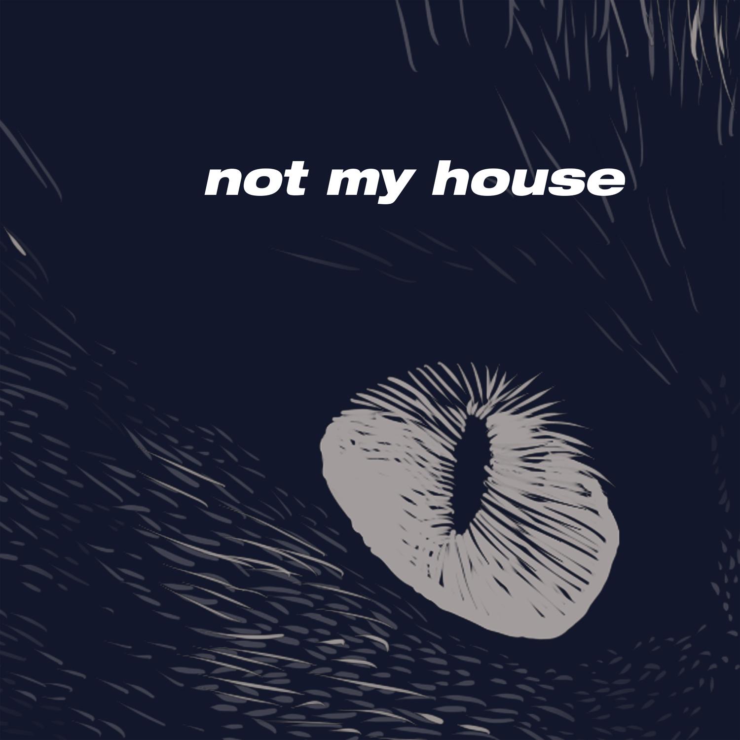Not My House