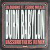 Sr. Dubong - Burn Babylon (BassBrothers Remix)