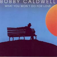 Bobby Caldwell - What You Won't Do For Love (HT Instrumental) 无和声伴奏