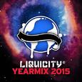 Liquicity 2015 Yearmix