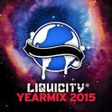 Liquicity 2015 Yearmix专辑