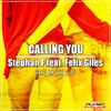Calling You (Remixes)专辑