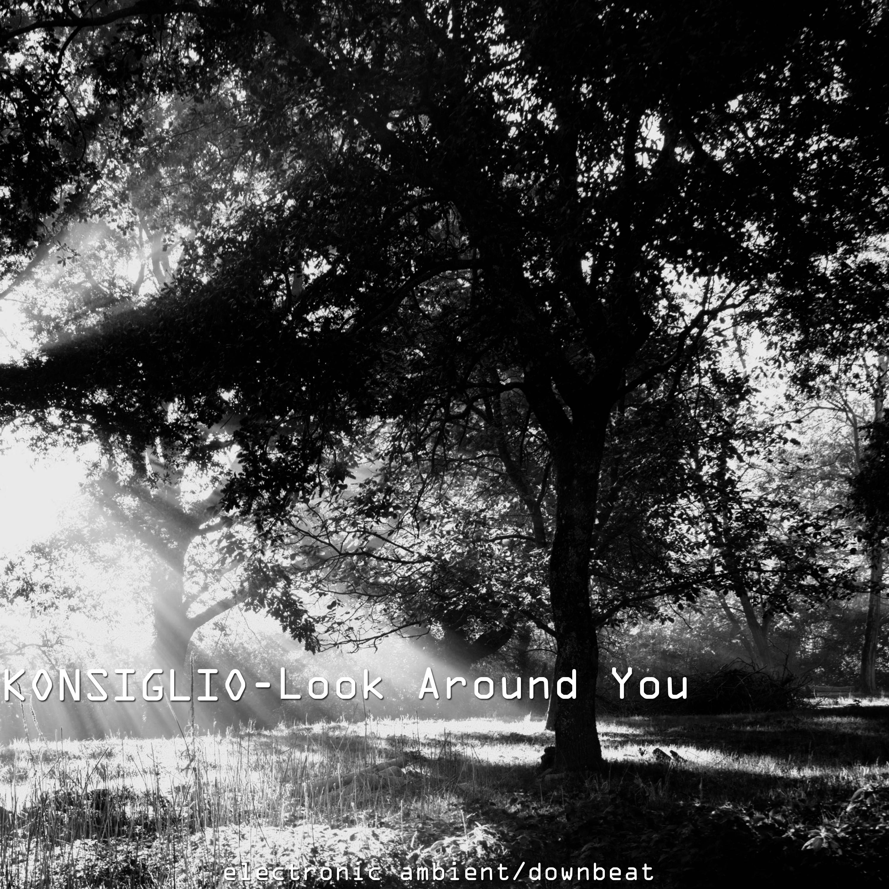 Look Around You