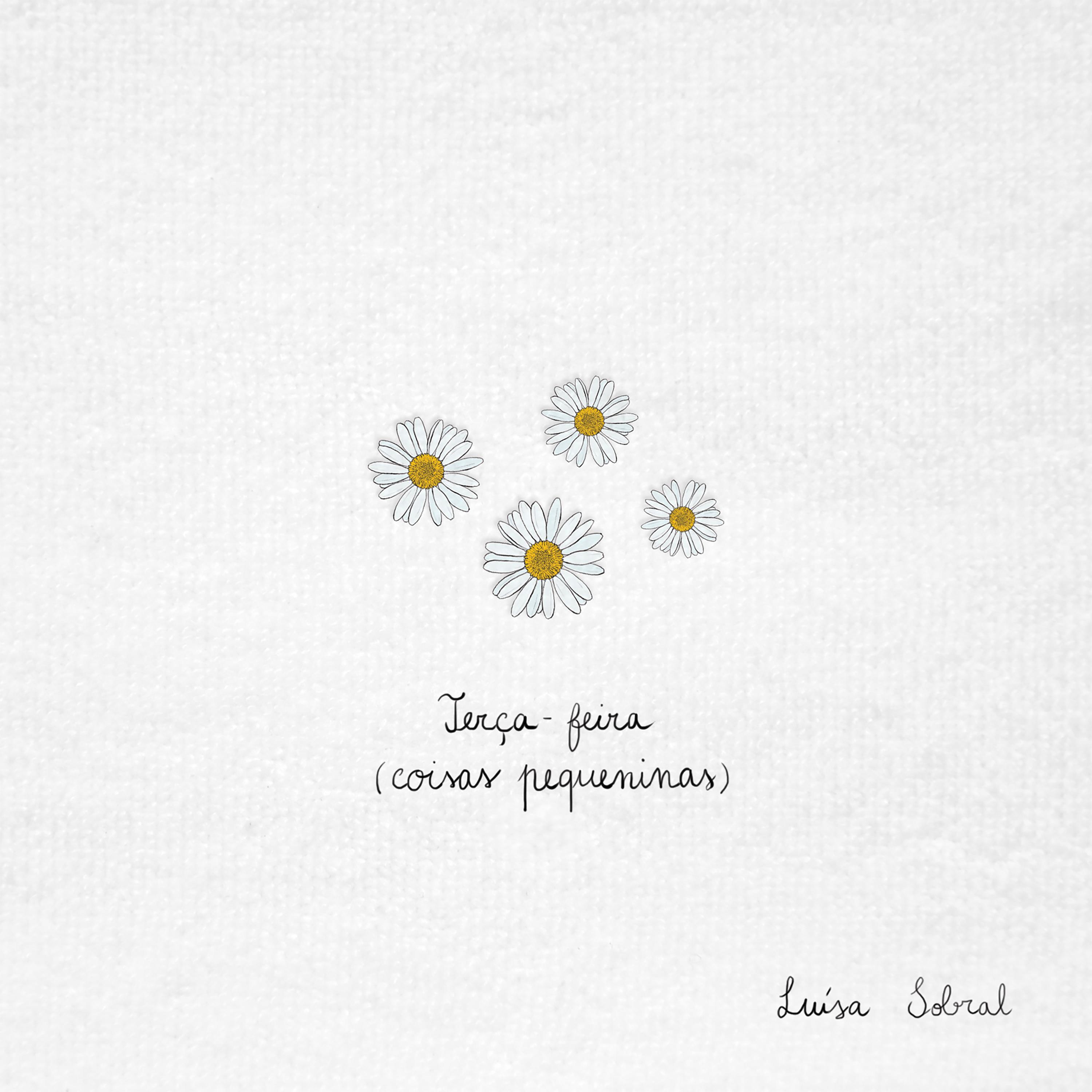 Terça-feira (coisas pequeninas)