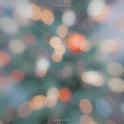 light #3专辑