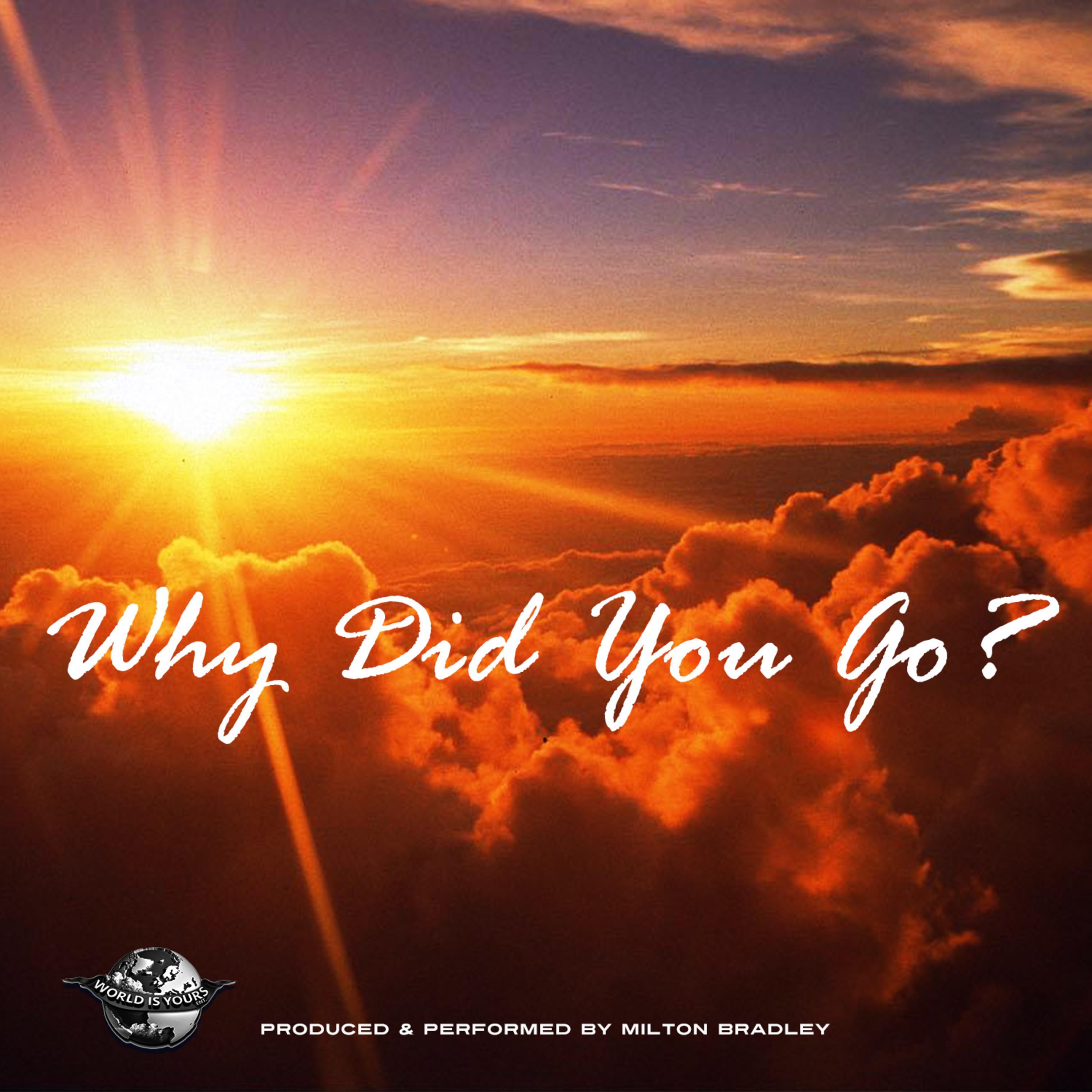 Why Did You Go?