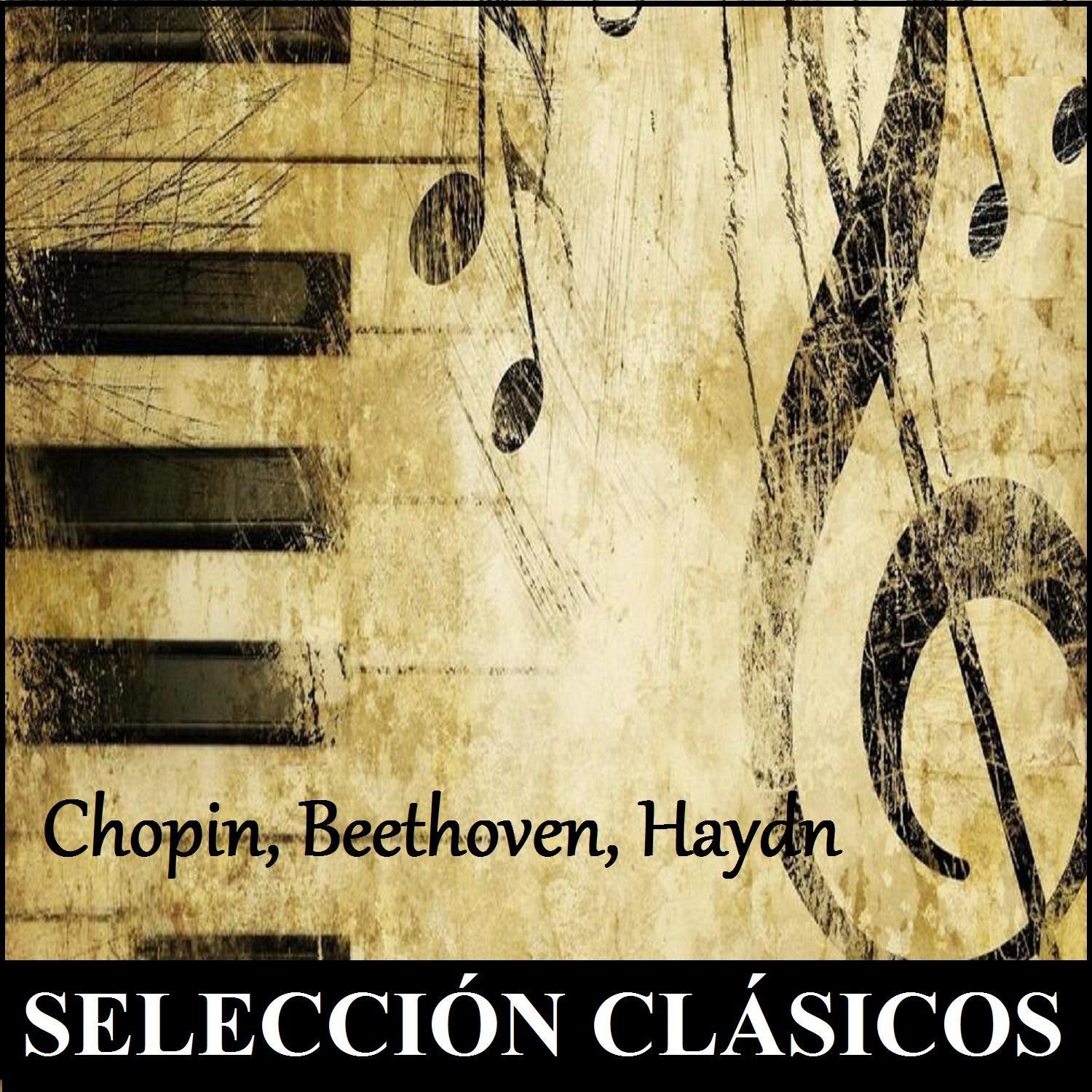 Selección Clásicos - Chopin, Beethoven, Haydn专辑
