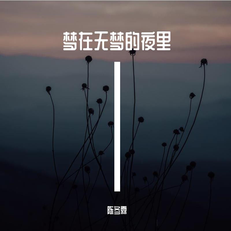 梦在无梦的夜里