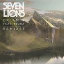 Dreamin' (feat. Fiora) [Remixes]专辑