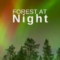 Forest at Night: Relaxing Nature Night Sounds