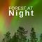 Forest at Night: Relaxing Nature Night Sounds专辑