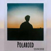 Polaroid
