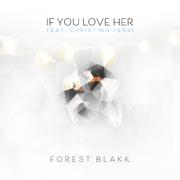 If You Love Her (feat. Christina Perri)专辑