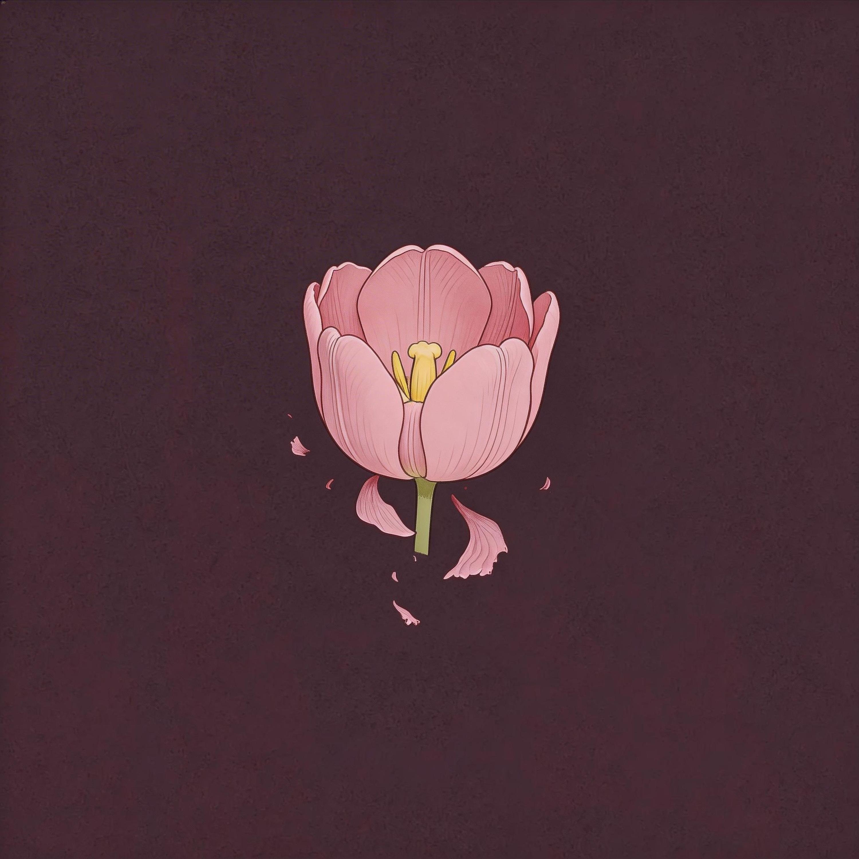 春天花会开（R&B）