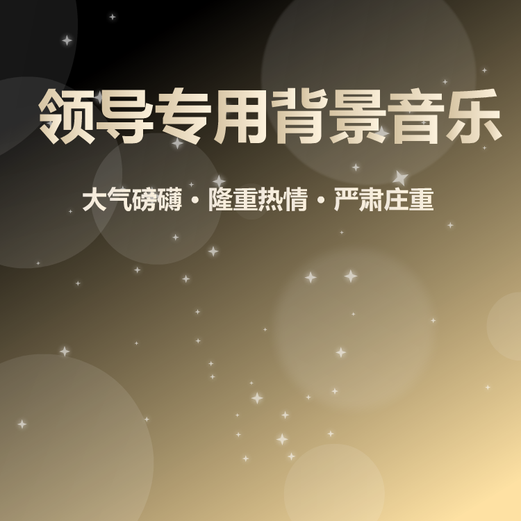 领导专用背景音乐