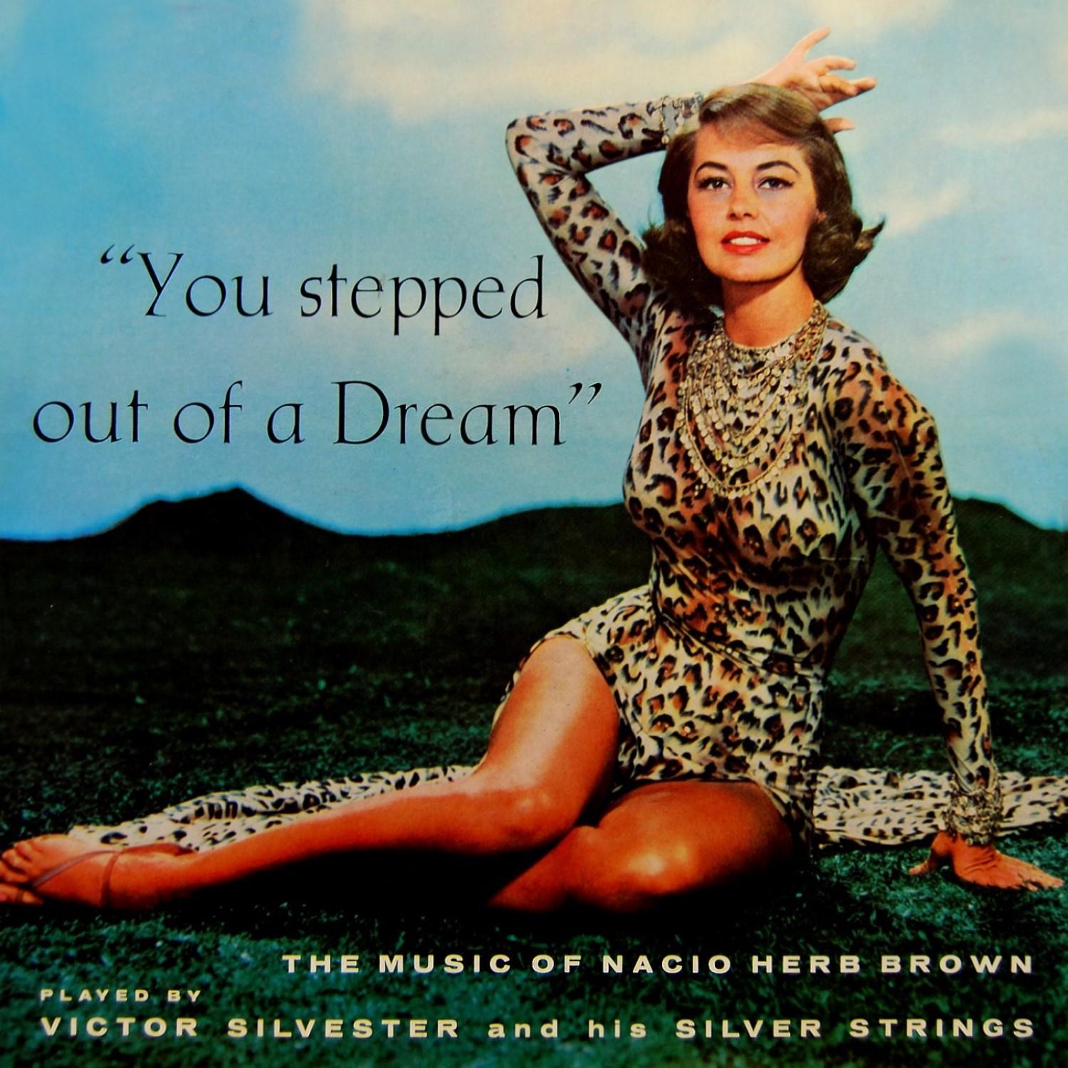 You Stepped Out Of A Dream