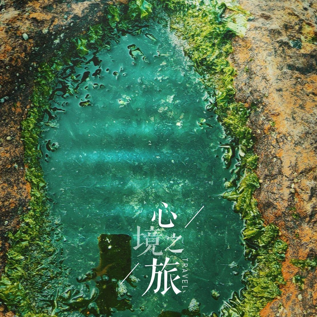 收藏-呆呆破（橘子蘸着巧克力 remix）