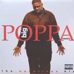 Big Poppa (Remix)专辑