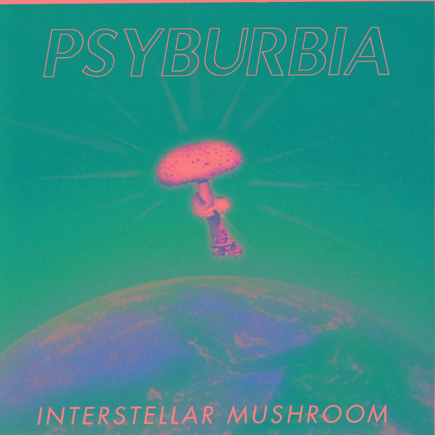 Interstellar Mushroom