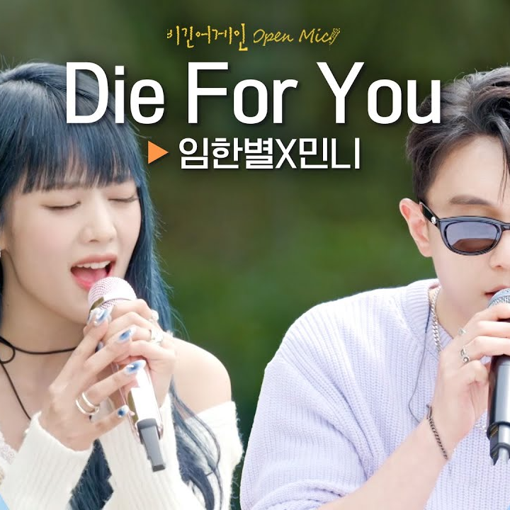 Die For You (cover)