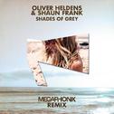 Shades Of Grey(Megaphonix Remix)专辑