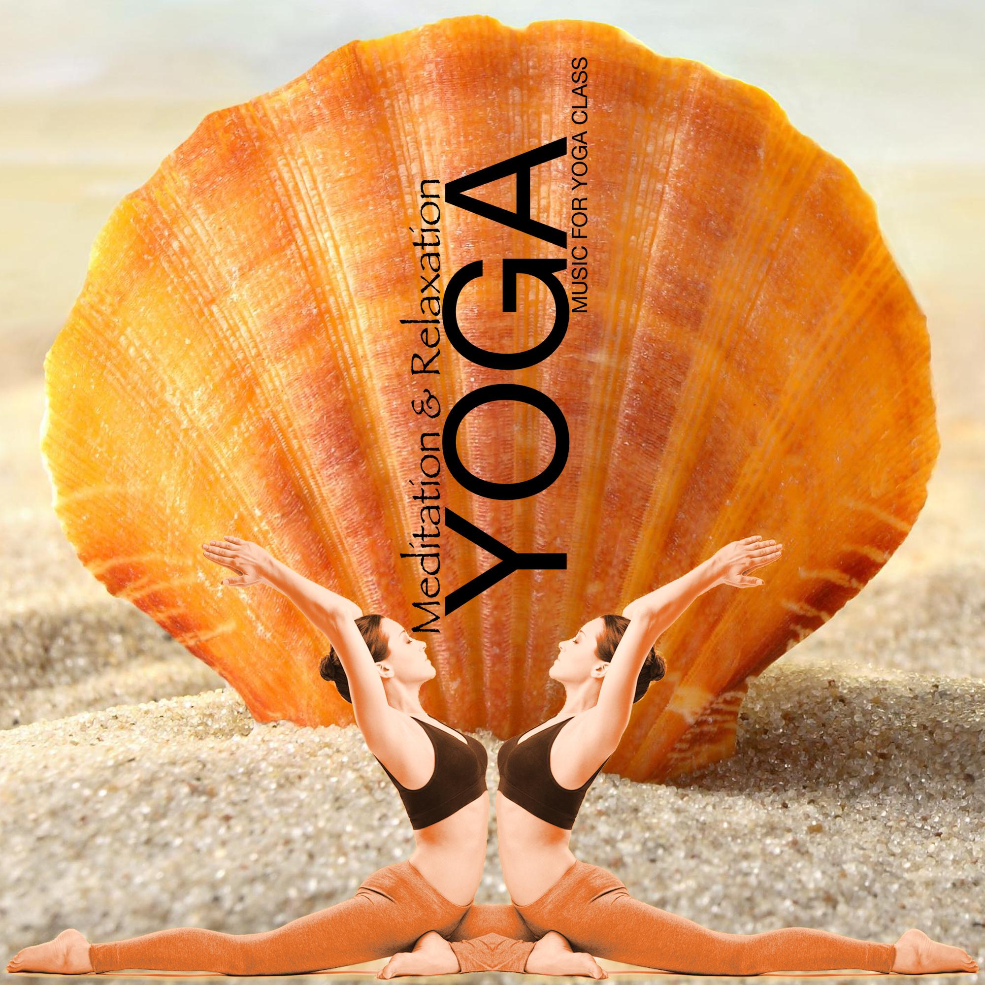 Yoga专辑