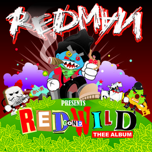 Redman - Put It Down (Instrumental) 无和声伴奏