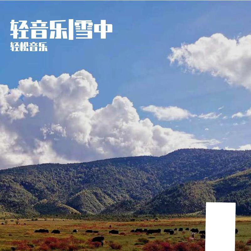 轻音乐|雪中