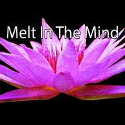Melt In The Mind