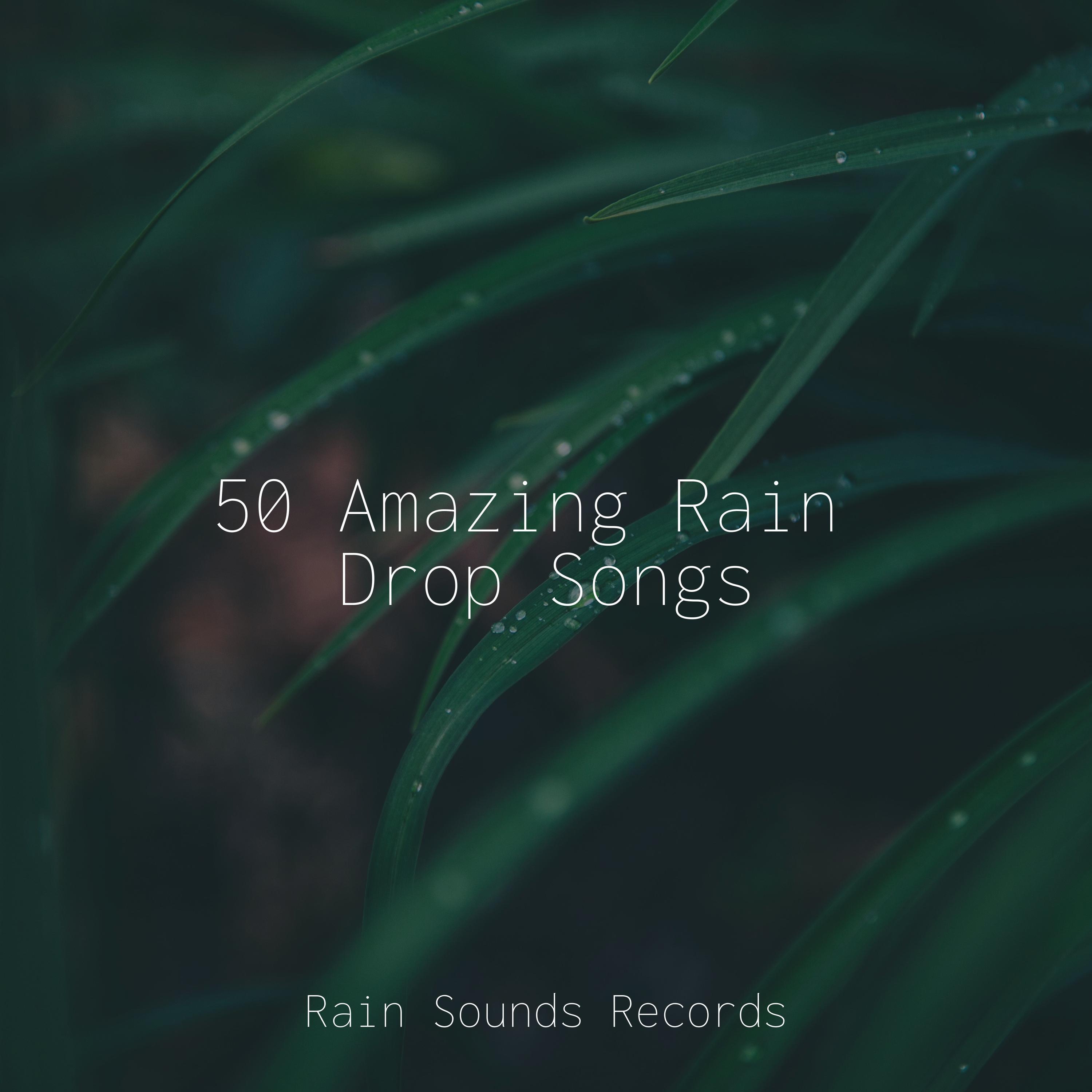 50 Amazing Rain Drop Songs