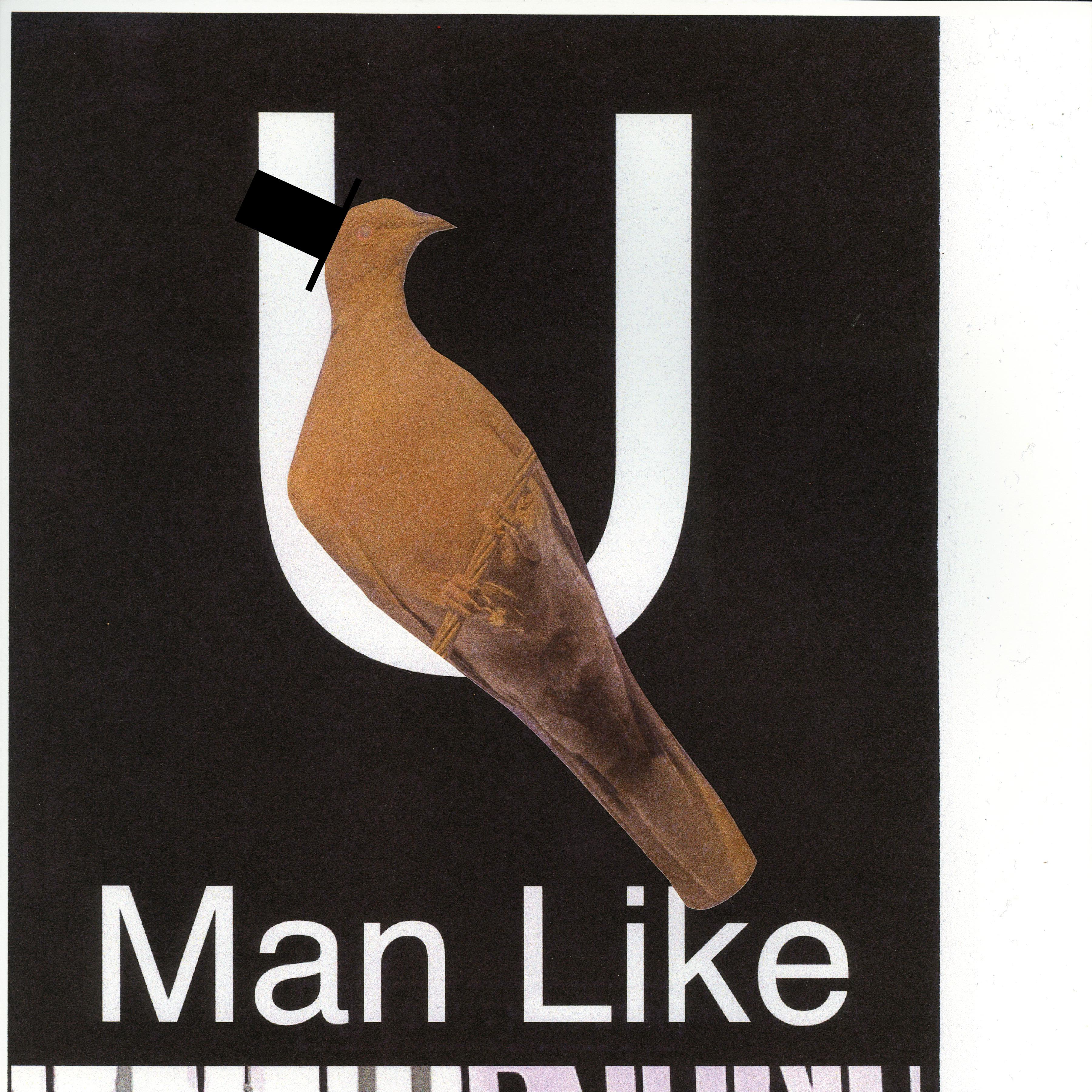 U (Man Like)专辑