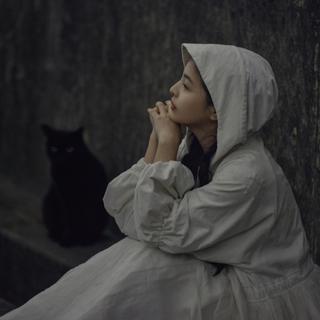 情醉意迷｜让这个夜晚静静的流淌