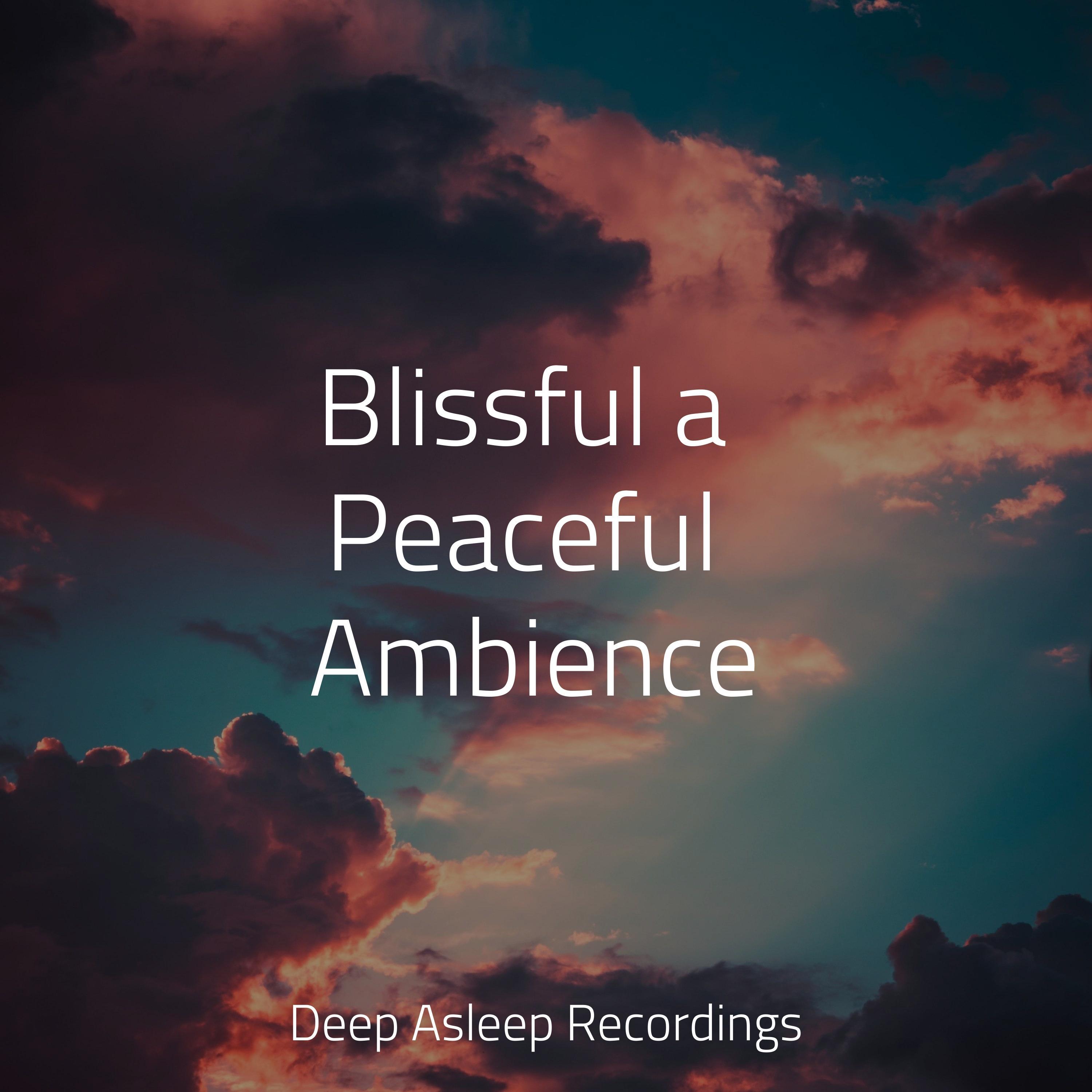 Blissful a Peaceful Ambience