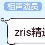 Zris精选出的个人作品专辑