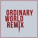 Ordinary World (Extrapolated Remix)专辑