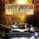 Country Mountain Tributes: Elvis Presley