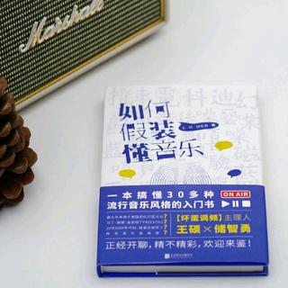 「如何假装懂音乐」坏蛋调频王硕＆储智勇